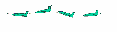 Phugoid Movements