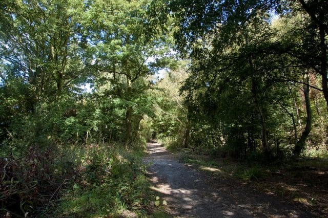 The path to Brookman's Park VOR